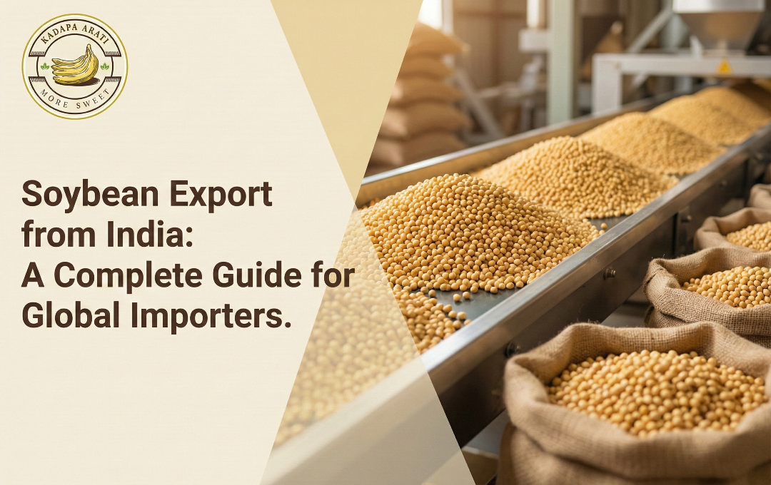 Soybean Export from India: A Complete Guide for Global Importers