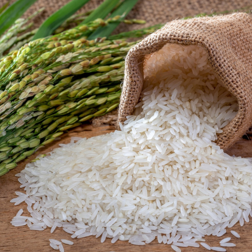 Jasmine Rice Exporter & Bulk Supplier