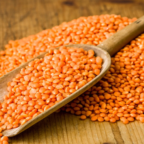 Red Lentils Exporter & Bulk Supplier
